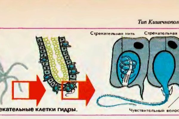 Кракен маркетплейс официальный сайт сайт ссылка