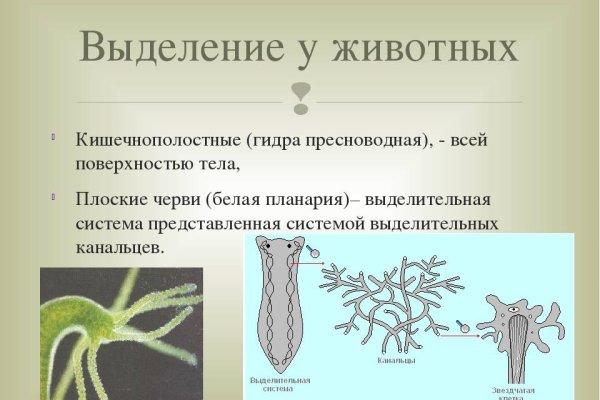 Kraken darknet зеркала кракен обход